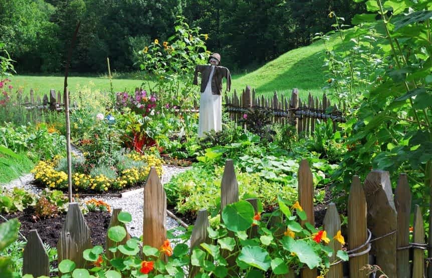 VeggieGarden